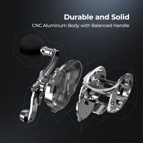 Piscifun Alinox 300 Baitcaster Fishing Reel,Aluminum Frame Baitcasting Reel, 33Lbs Max Drag, Freshwater & Saltwater Low Profile Casting Reel for Musky, Available in 6.6:1/8.1:1 Gear Ratio - color: Black