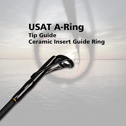 Fiblink Surf Fishing Rod 2 Piece/3 Piece Portable Travel Spinning Rod Saltwater Surf Rod (9'/10'/10'6"/12') - style: Spin-9'-2pc