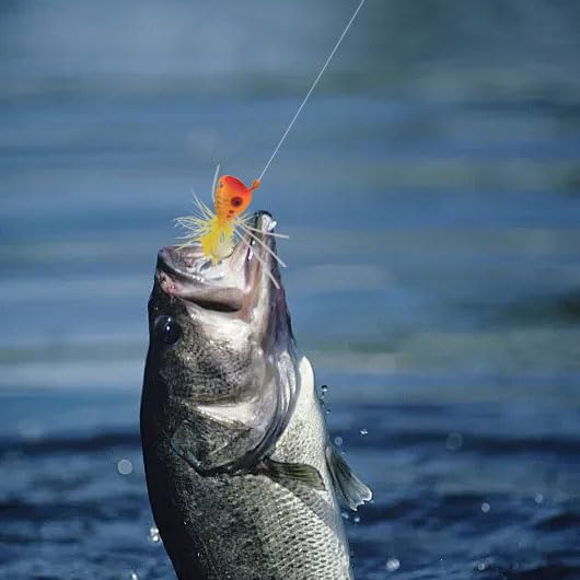 Fly Fishing Poppers, Topwater Fishing Lures Bass Crappie Bluegill Sunfish Panfish Trout Salmon Perch Steelhead Flies for Fly Fishing Bass Panfish Bluegill Trout Salmon - color: 10pcs-new design