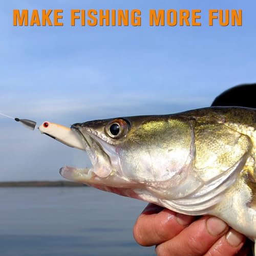 Dovesun Weedless Worm Hooks, Straight Shank Wacky Rig Hooks, 30 Pack | 4X Strong High-Carbon Steel, Texas Rig Hooks, Baitholder Nylon Wire Wrap or Wire Weed Guard, Sizes 1/0-3/0, Bass Fishing - size: 3/0 * 30PCS, style: Professional "V" Hook With Baitkeep