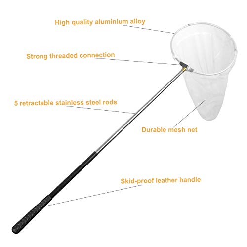 Insect and Butterfly Net with 12" Ring, Net Handle Extends to 59 Inches for Adults