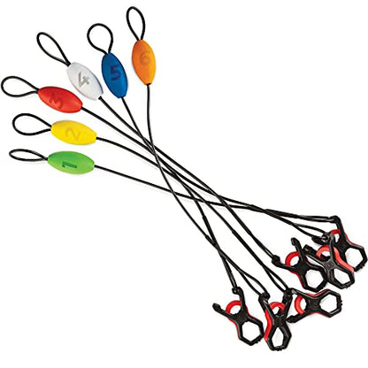 Rapala Touch Screen Tourney Scale 15lb and Lip-Grip Cull Tags, Multi, 1 Count (Pack of 1)
