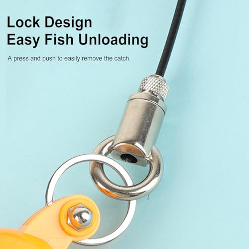 Stringer Fishing Stainless Steel Rust Proof Heavy Duty | Kayak Fishing Wading Stringer for Outdoor Kayak Shore Boat Pier Anglers Fishermen Father - color: 2 meters