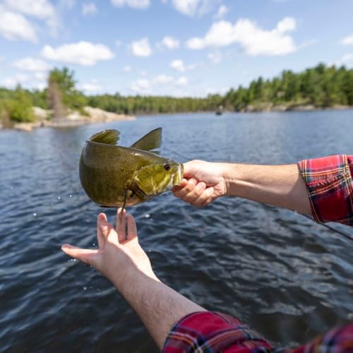 Rio Products Bass Leader, Freshwater Tapered Leader for Fly Fishing, Designed for Bass Fly Fishers - size: 8LB