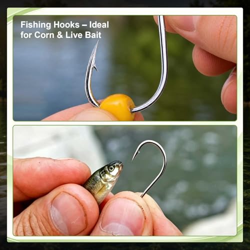 GOTURE 100Pcs Iseama Fishing Hooks Assortment with Tackle Box, 80D High Carbon Steel Ringed Eye Bait Hooks Kit for Freshwater Saltwater - style: 100pcs - Iseama Hooks