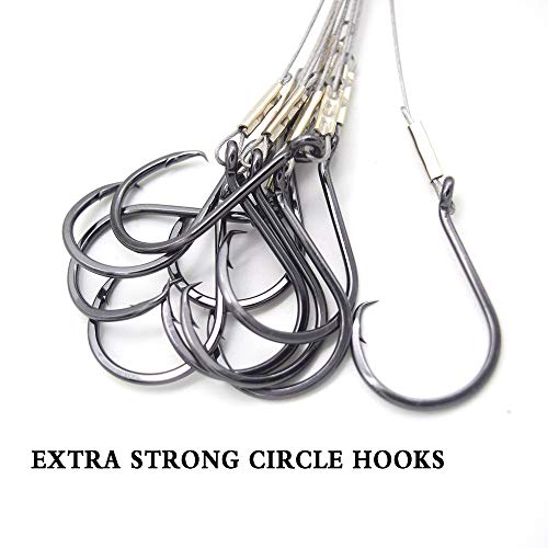 10pcs Extra Strong Offset Circle Hooks Saltwater,Fishing Hook Rig,Sport Fishing Hooks with Leader Black Nickel Coated High Carbon Steel Octopus Fishing Hooks