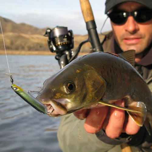 5Pcs Pencil Popper Topwater Fishing Lures Floating Hard Bait with Box for Bass Walleye Pike Catfish Musky Perch 3.15in/0.35oz