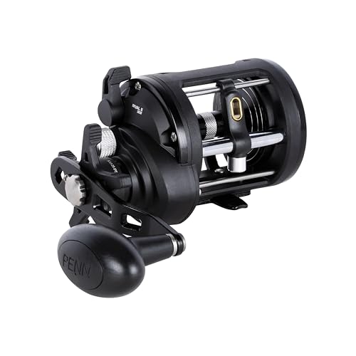 PENN Rival Level Wind Conventional Fishing Reel - size: 30 - Line Counter, style: New Model