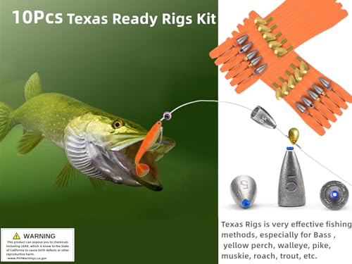 10Pcs Fishing Bullet Weights Texas Rigs Ready Kit,Worms, Sinker (10g/7g/5g), Worm Hooks, Carbon line,Spinner Blades，Eye Beads Bait, Fishing Bass Rig Saltwater Freshwater - size: 1/0, 5g