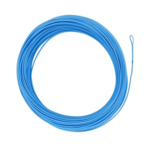 EUPHNG All-Purpose Fly Line Floating Trout Fishing Line Welded Loop Line ID Weight Forward Fly Fishing Line 100FT - color: Sky Blue, size: WF4F