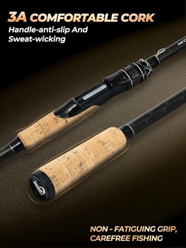 Jenseits Carbon Fiber Fishing Rod Series (6-12 Ft), Spinning & Casting Rods with Stainless Steel Ceramic Guides, Fast Action Fishing Pole for Bass, Trout, Walleye & Surf Fishing - size: 8'0"-Medium Heavy-Fast-Black, style: Spinning
