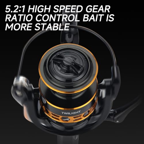 HAUT TON Dolphin Advance Edition Spinning Reel,5.2:1Gear Ratio,22LBS,5+1BB,Backlash Free Bearing,Sealed Drag System,Saltwater,Freshwater Fishing Reels - color: TGG, size: 4000