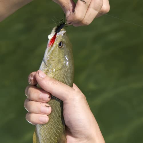 Fly Fishing Poppers, Topwater Fishing Lures Bass Crappie Bluegill Sunfish Panfish Trout Salmon Perch Steelhead Flies for Fly Fishing Bass Panfish Bluegill Trout Salmon - color: 20pcs-fly fishing