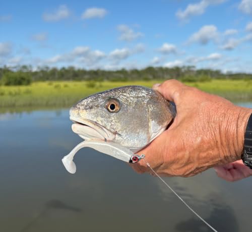 Soft Plastic Paddle Tail Swimbaits – 3 1/4", 4" & 5" Soft Plastic Fishing Lures with Extra-Large Tail for Lifelike Swimming Action – Freshwater & Saltwater - color: Pearl White, size: 4 Inch - 12 Pack