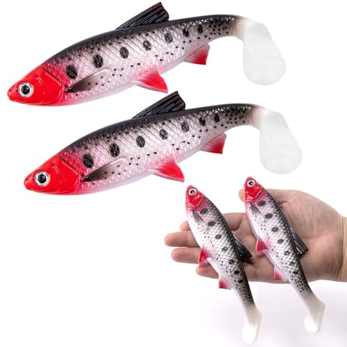 Alwonder 2-Pack Fishing Swimbait Soft Plastic Lures Saltwater, 6.1IN Texas Rig Paddle Tail Swim Baits Freshwater, Sinking Paddle Tail Soft Lure Bait for Pike Musky Bass Tarpon Halibut Mackerel Grouper - color: Red and Black