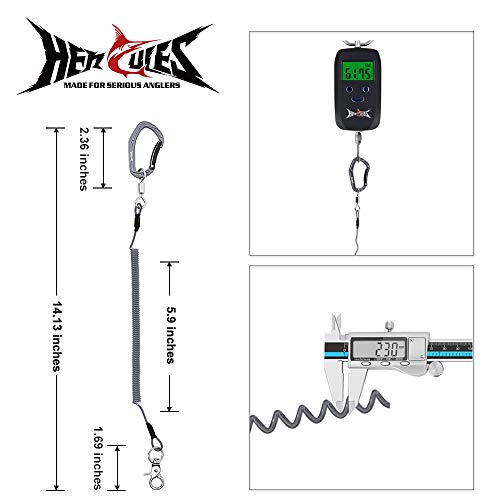 HERCULES M4 Fishing Lanyard, Fishing Pole Tether, Kayak Paddle Leash, Heavy Duty Retractable Coiled Lanyard for Fishing, Rods, Pliers, Boating, Paddles, Kayak - color: Pack of 2 Grey, 5.9"