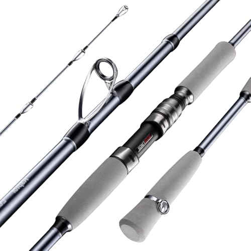 Raptor Saltwater Fishing Rod 6 Foot Spinning Casting 2 Pieces Offshore Boat Pole 27T High Carbon Fiber Baitcaster Lightweight Stainless Steel Guides Bass Trout Catfish Boat Fishing Rod