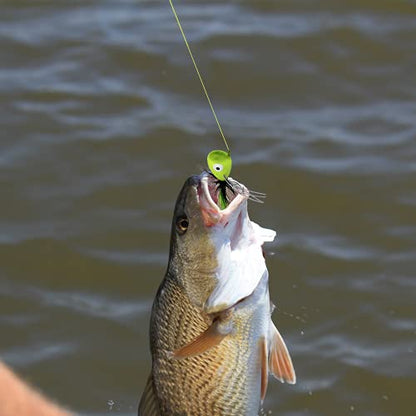 Fly Fishing Poppers, Topwater Fishing Lures Bass Crappie Bluegill Sunfish Panfish Trout Salmon Perch Steelhead Flies for Fly Fishing Bass Panfish Bluegill Trout Salmon - color: 10pcs