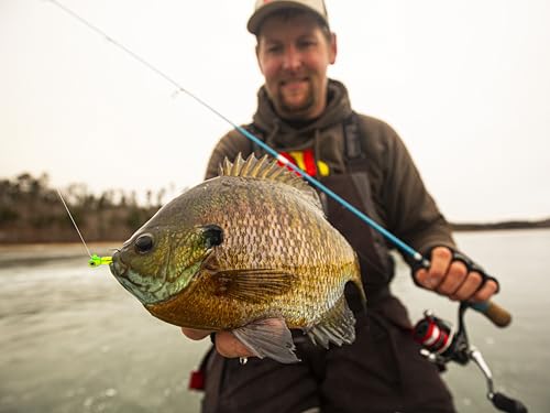 Northland Tackle Rigged Tungsten Pin Fry Ice Fishing Jig with Minnow Fry Body, 2 Pre-Rigged Jig Heads & 3 Extra Ice Fishing Plastics, Tungsten Jig Heads for Panfish, 1/16 Oz, Gold