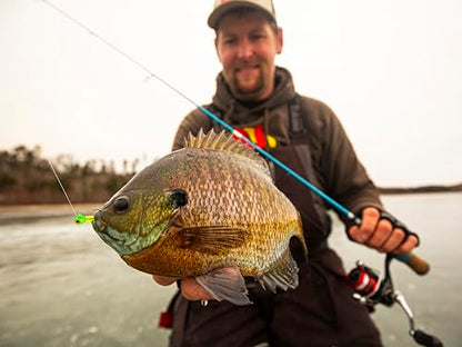 Northland Tackle Rigged Tungsten Pin Fry Ice Fishing Jig with Minnow Fry Body, 2 Pre-Rigged Jig Heads & 3 Extra Ice Fishing Plastics, Tungsten Jig Heads for Panfish, 1/16 Oz, Woodtick