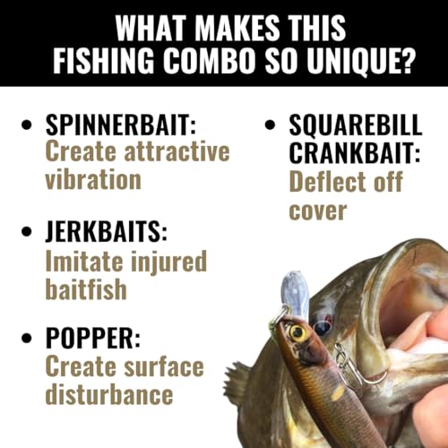 LUNKERHUNT Deep Diving Crankbaits – 4-Pack | Premium Hard Bait Fishing Lures for Bass, Walleye & Saltwater | Ideal for Deep Water Action - color: 4-Pack Mixed Water