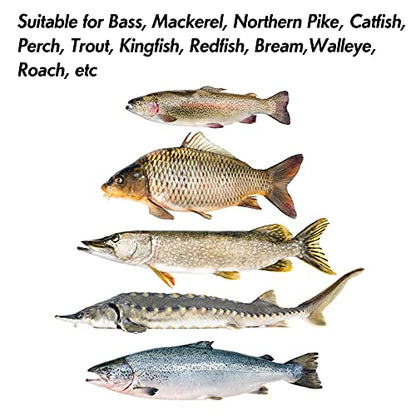 Dr.Fish Fishing Jigs Jigging Spoon Saltwater Fishing Lure Casting Metal Spoon Surf Fishing Mackerel Striper Lures Stinger Bluefish Vertical Diamond Jig - color: Silver, size: 1oz-5 Pieces