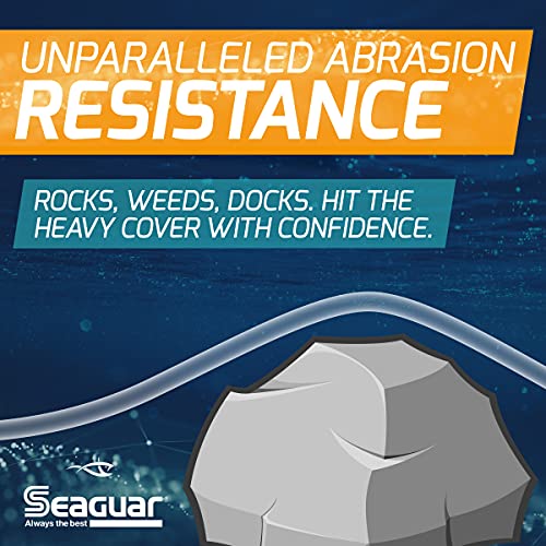 Seaguar Gold Label Fresh & Saltwater Fishing Leader Line, 100% Fluorocarbon - size: 6lb/25yds