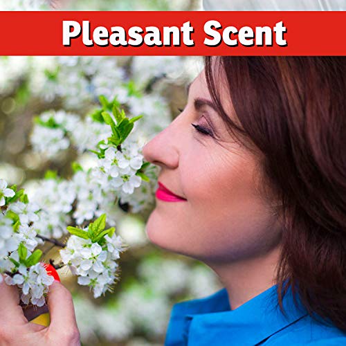 I Must Garden Deer Repellent: Spice Scent Deer Spray for Gardens & Plants – Natural Ingredients – 32oz Ready to Use - size: 32 Fl Oz (Pack of 1)