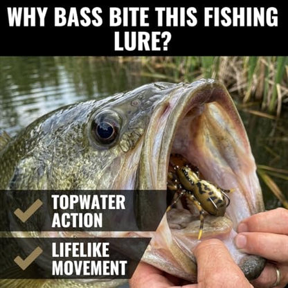 LUNKERHUNT Phantom Spider Lure for Bass Fishing (2.5 Inch) | Topwater Spider Fishing Lure with Natural Walking Action | Soft Hollow Body Weedless Hooks for Trout and Pike - color: Fang