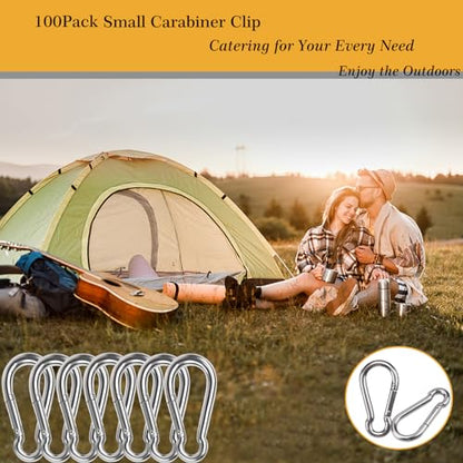 Heavy-Duty Carabiner Clip 1.57"–5.5", Black/Silver Spring Snap Hook, Quick Link Keychain Clip for Keys, Swing Set, Camping, Fishing, Hiking & Traveling (120–1350 lbs) - color: Silver, size: 5.5Inch(M14)-10PCS