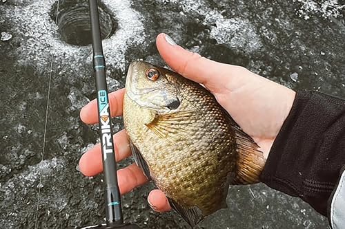 TRIKA Ice Fishing Rod, Sensitive Carbon Ice Fishing Pole for Trout, Walleye, Perch, Panfish Bluegill, Crappie, Bass - 28”/32”/36”/40” - style: Medium Lite F 32"