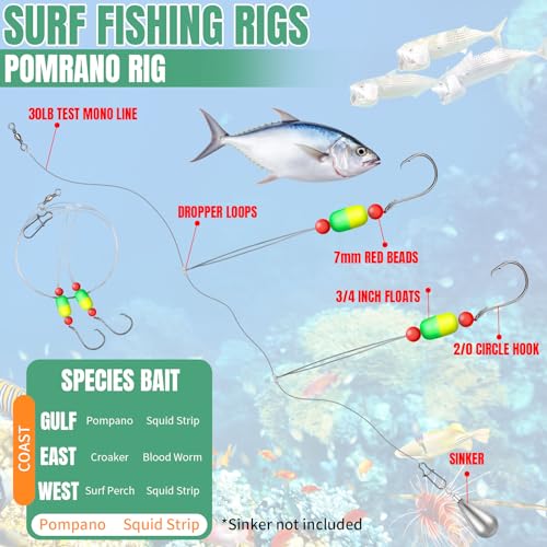 JellyArch 12 Pcs Pompano Rigs for Surf Fishing Offshore Surf Fishing Rigs Saltwater Gear Tackle with 2/0 Circle Hooks Double Circle Swivels Duo Lock Snaps - color: Mixed Colors