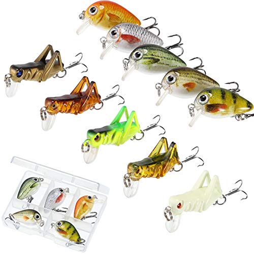 Skylety 10 Pieces Mini Fishing Lures Fishing Hard Baits Hooks Crankbaits Lures Baits Topwater Strong Sound for More Bites Freshwater Saltwater Trout Bass Perch with Box - style: Locust and Fish Series