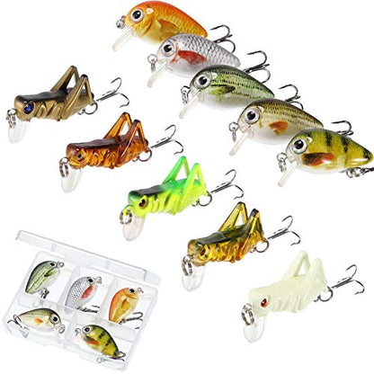 Skylety 10 Pieces Mini Fishing Lures Fishing Hard Baits Hooks Crankbaits Lures Baits Topwater Strong Sound for More Bites Freshwater Saltwater Trout Bass Perch with Box - style: Locust and Fish Series