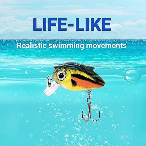 5PCS Micro Crankbait Fishing Lures Set, Lifelike 3D Eyes Hard Bait with Sharp Treble Hooks, Freshwater Saltwater Lures for Bass Trout Perch Walleye Pike, Tackle Box Included