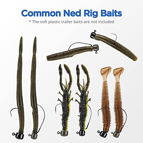 MadBite by KastKing Ned Rig Jig Heads for Soft Fishing Lures, 24-Pack Finesse Standard Mushroom Stand-up Ned Heads Kit, Needle Point Saltwater & Freshwater Versatility Ned Rig Hooks 1/8, 1/16, 3/16 oz - color: Black, size: 1/16 oz