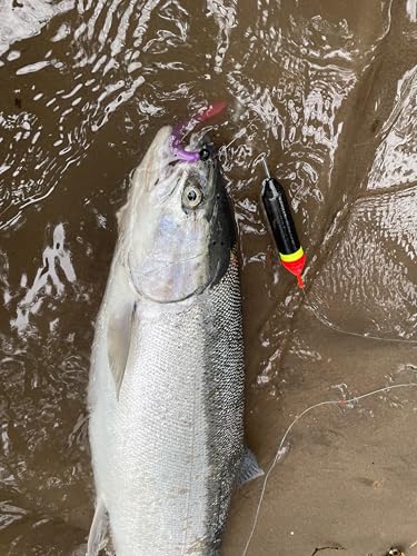 Slip Floats, Set of 4, Orange/Yellow/Black - Salmon and Steelhead Floats - size: 1/2