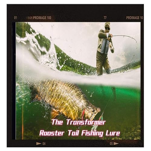 Aboda Rooster Tail Fishing Lures Kit, 10 Spinnerbaits w 16 Attachable Rooster Tails in 8 Colors, Fishing Lures for Bass Salmon Trout and Crappie - size: 1/16 oz Set