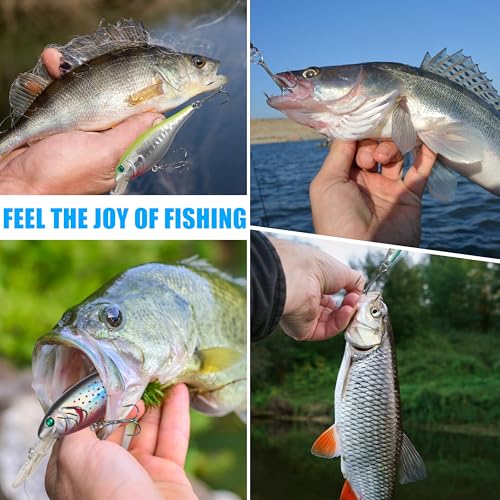Bass Fishing Lures Kit, Minnow CrankBait VIB Pencil Popper Sinking Wobbler Hard Bait Lures for Bass Trout Walleye Redfish Freshwater Saltwater - color: Combo D-10pcs (3.9" with lip)