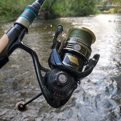 Gold Standard Spinning Reel, Freshwater Saltwater Spinning Fishing Reel Sizes 1000 2500 4000 - size: 4000