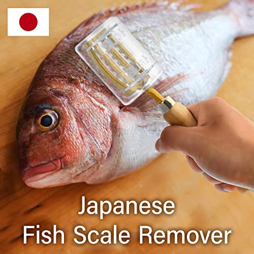 YAMASAN KYOTO UJI Brass & Wood Fish Scale Remover, Tsubame-Sanjo, Japan | Professional Japanese Kitchen Scale Tool, Fish Scale Remover with Box, Brass Serrated Sawtooth and Wooden Handles