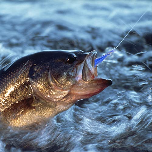 Fishing Bait Rigs 8 Packs Fishing Rigs with 48 Hooks Mackerel Feather Rig | Surf Fishing Rigs with Feather Sharp Hooks for Mackerel, Pollock, Cod, Bass Freshwater Saltwater