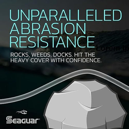 Seaguar Blue Label Fishing Leader Line for Saltwater, 100% Fluorocarbon, Clear, Multiple Sizes - size: 20lbs/25yds