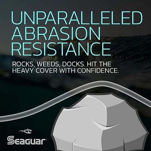 Seaguar Blue Label Fishing Leader Line for Saltwater, 100% Fluorocarbon, Clear, Multiple Sizes - size: 10lbs/50yds