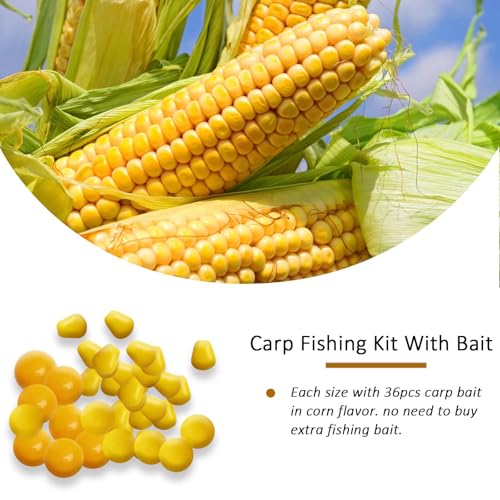 Dovesun Carp Fishing Hair Rigs Carp Fishing Equipment with Baits Hooks Accessories 41PCS/151PCS - color: Size#6-41PCS