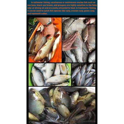 Fish Attractant 60ml Additive Lures Attraction with Fishy Stinky Scent | Fish Attractant Liquid for Bass Trout Carp Cod Lakes Rivers Reservoirs Sports Outdoors
