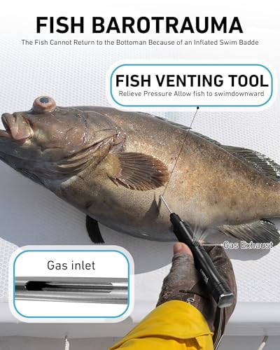 GOLDEN J Fish Venting Tool for Saltwater Fishing | Modular Design with Hidden Storage & Stainless Steel/Aluminum Build, Relieves Deep Sea Fish Pressure for Healthier Release - size: Medium