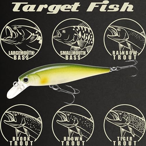 LUCKY CRAFT Pointer 78SP Fishing Lures, 3” Jerkbait Freshwater Bass & Trout Lures, Suspending 4ft–5ft Depth, Jerkbait with Walk-the-Dog Action, Precision Bass Fishing Gear and Accessories - color: 268 Pearl Ayu, size: PT65