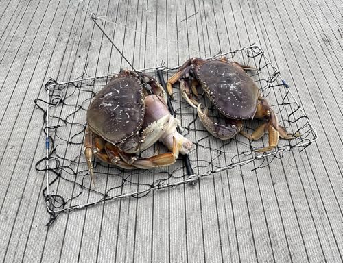 AirFly Crabbing & Fishing Kit – Foldable Crab Trap + 32” Measuring Board