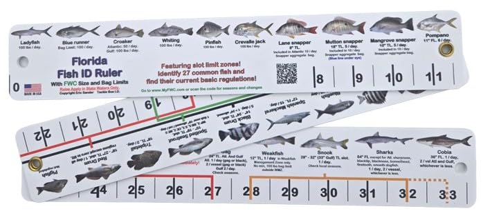 Florida Fish I.D. Ruler – 33.75” Folding Ruler Showing 27 Common Florida Fish in True-to-Life Color Photographs and Their Current FWC Rules with Highlighted Slot Bracket Zones